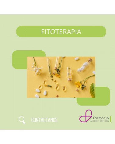 FITOTERAPIA